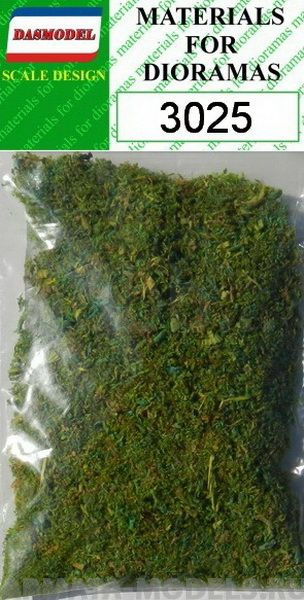 3025 Крона деревье зелёная