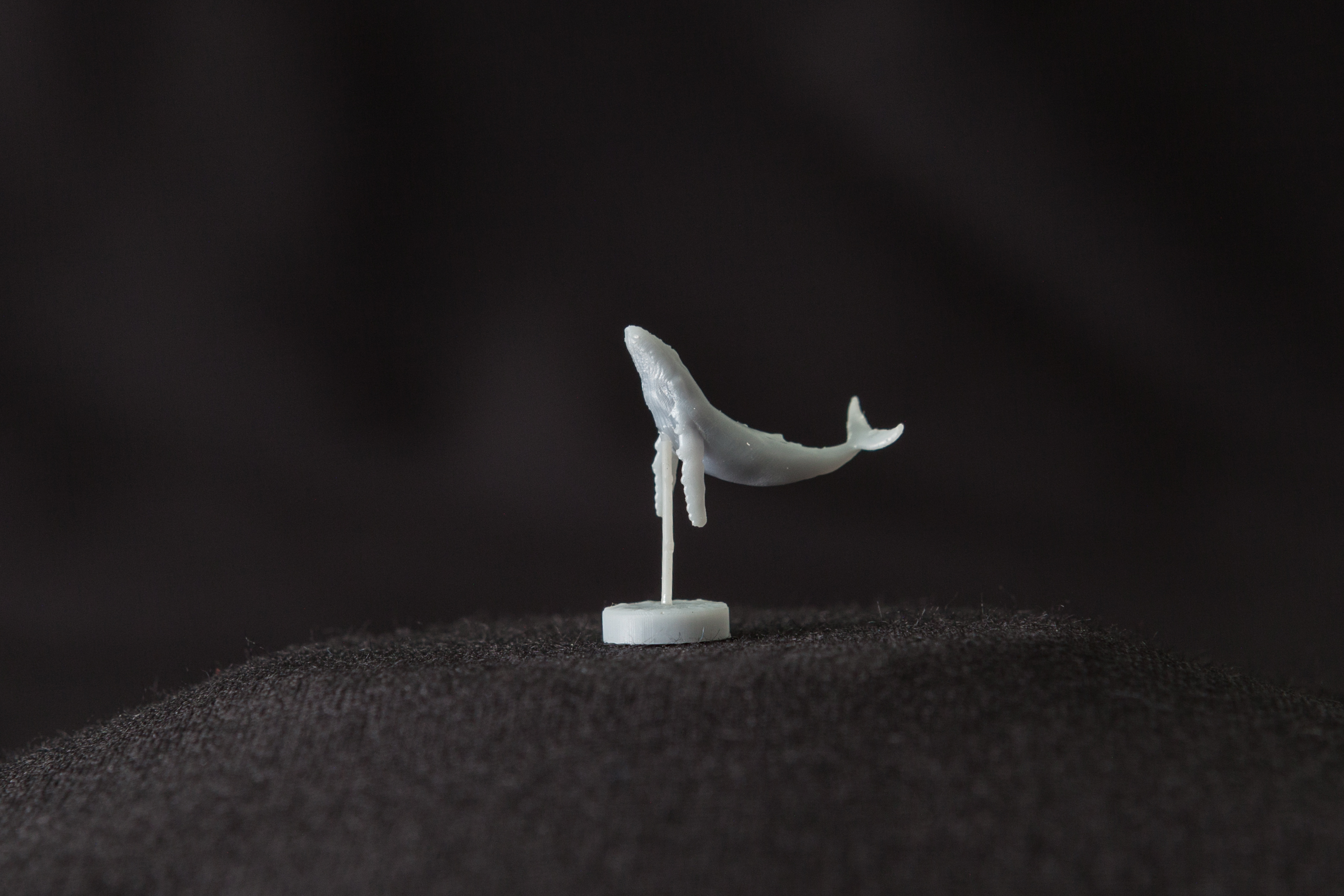 AM70000 Горбатый кит Arma Models