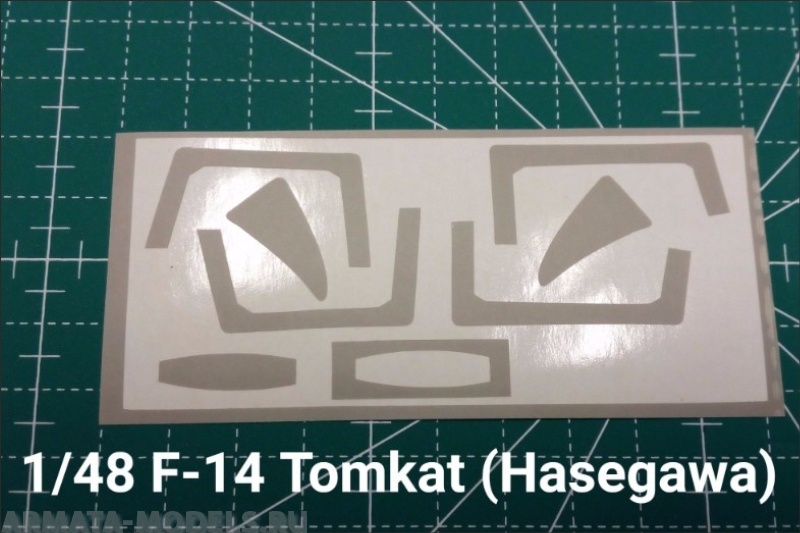 URM481 F-14 Tomcat (1/48, Hasegawa)