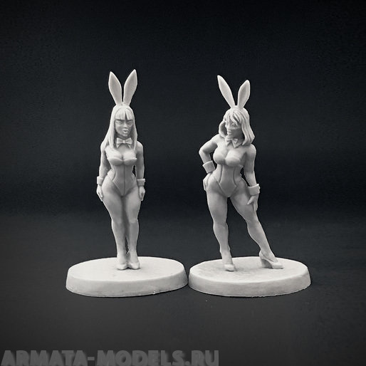 mg-12 2 bunnies BROTHER VINNI's
