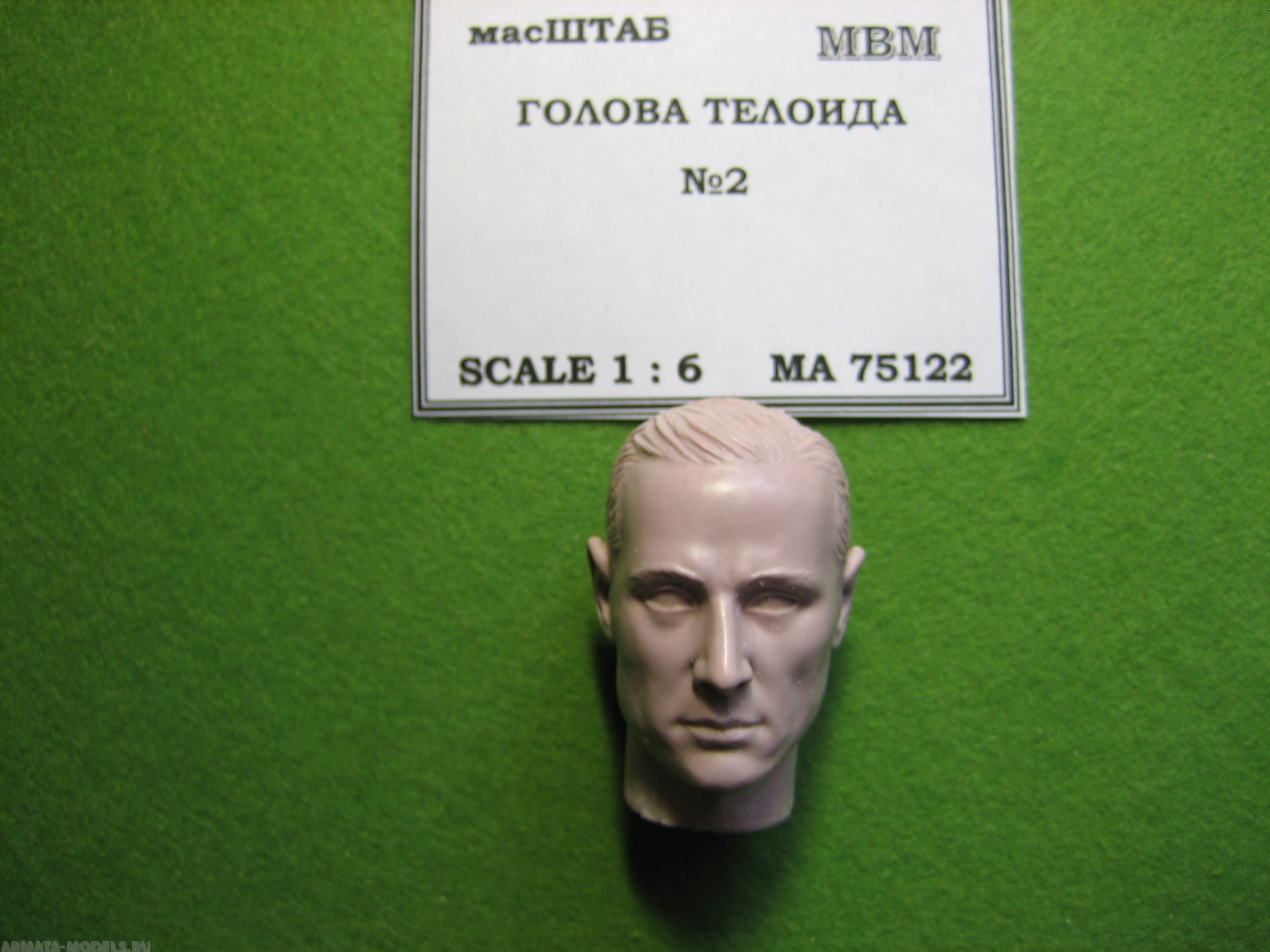 75122 Голова телоида №2