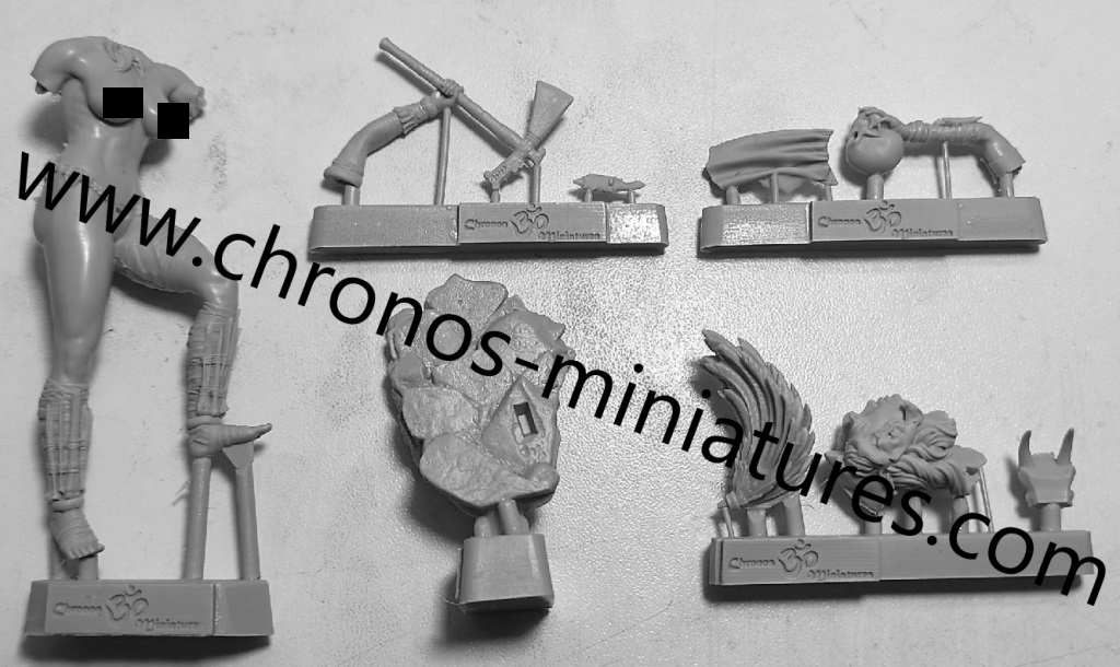 CHM-54293. Миры Фэнтези: Хранительница черепов. Материал - смола. Chronos Miniatures