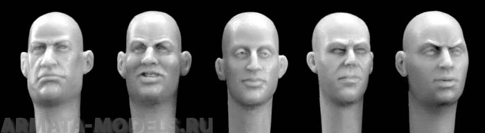 HH16 5 more European bald heads Hornet