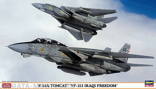 02040 Самолет F-14A TOMCAT VF-211 IRAQI FREEDOM Hasegawa