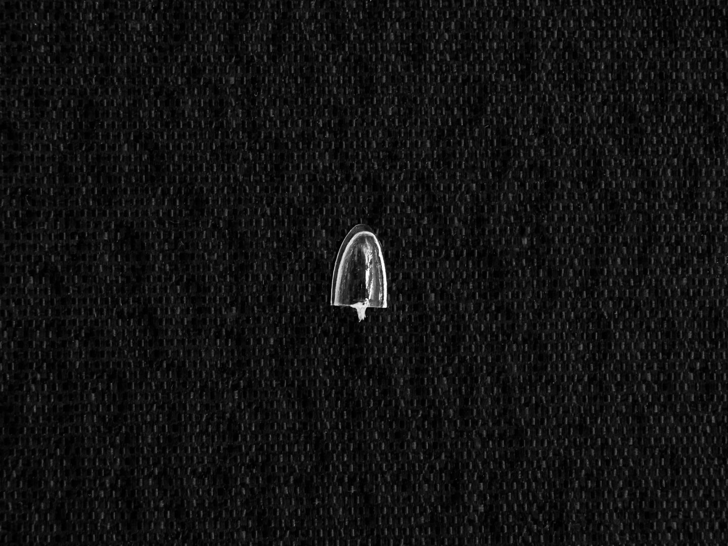 И-1 (Ил-400б),  первый советский истребитель - моноплан ICM