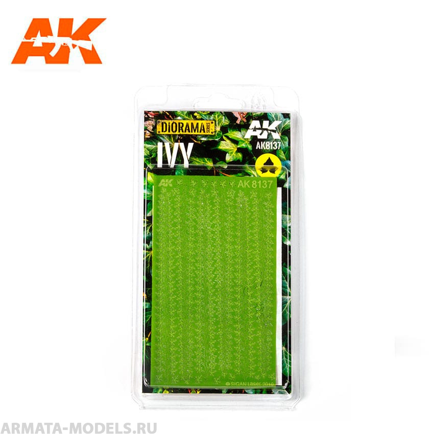 AK8137 IVY