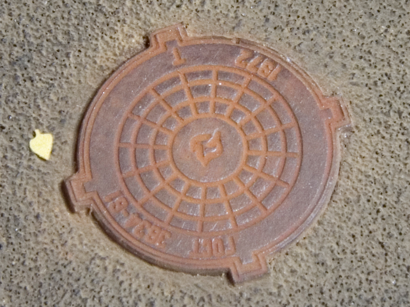 RIM35003 Люки канализационные1961+ (5 шт) масштаб 1/35