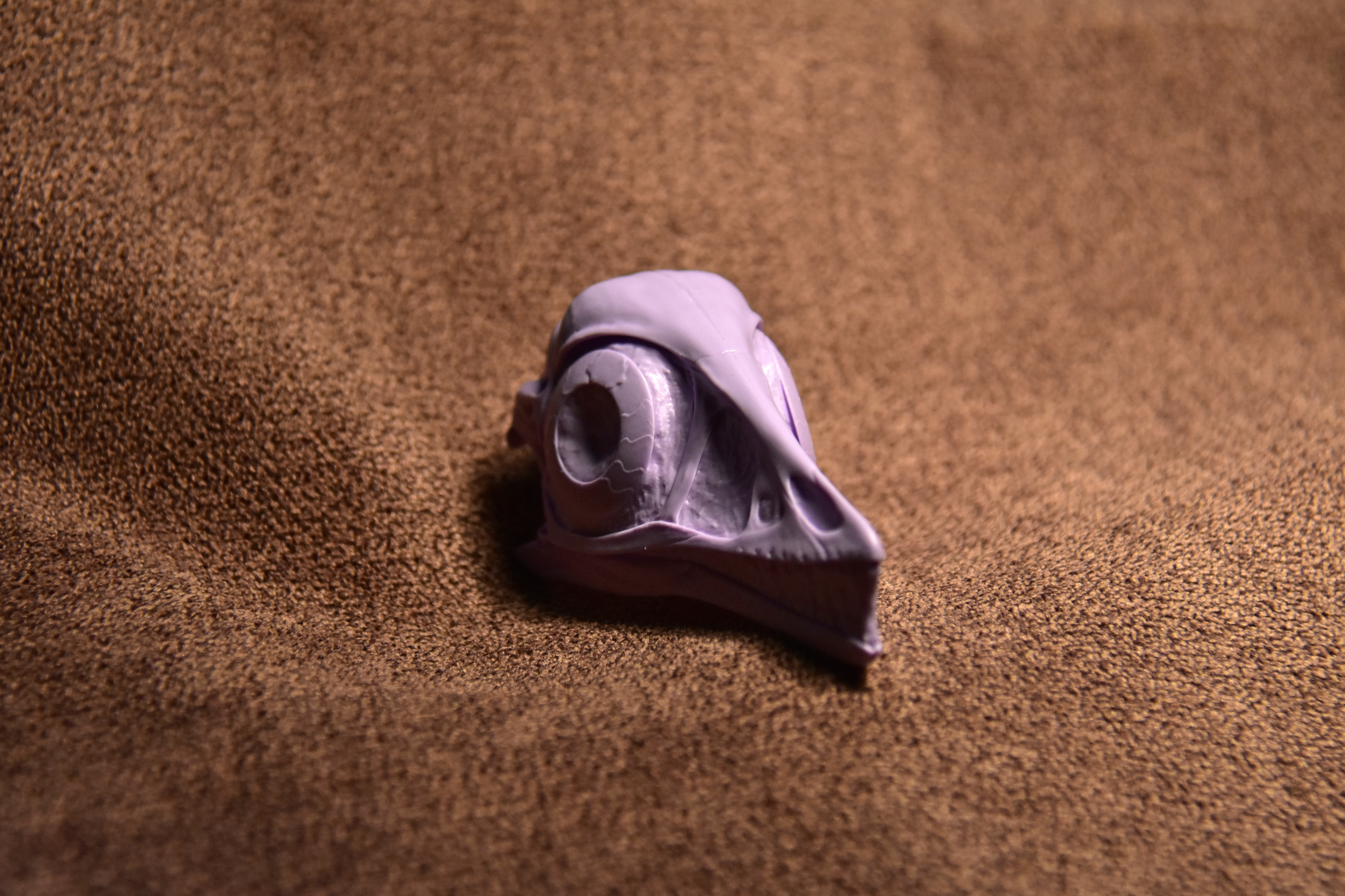 DINO10005 Череп Археоптерикса