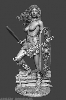 CHM-54249. Миры Фэнтези: Кельтская женщина-воин. 54 мм. Материал - смола.