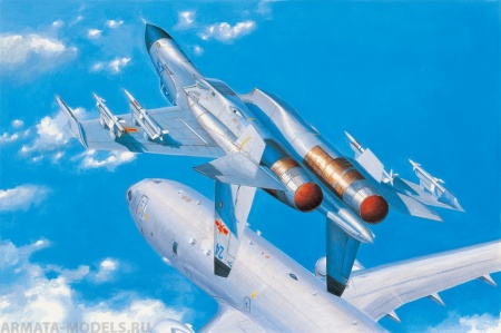 81715 Самолет PLA J-11B (экспортная версия Су-27) Hobby Boss